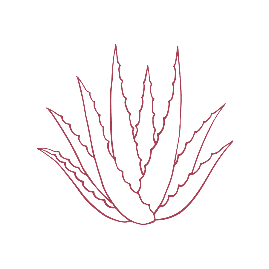 Illustration des Inhaltstoffes