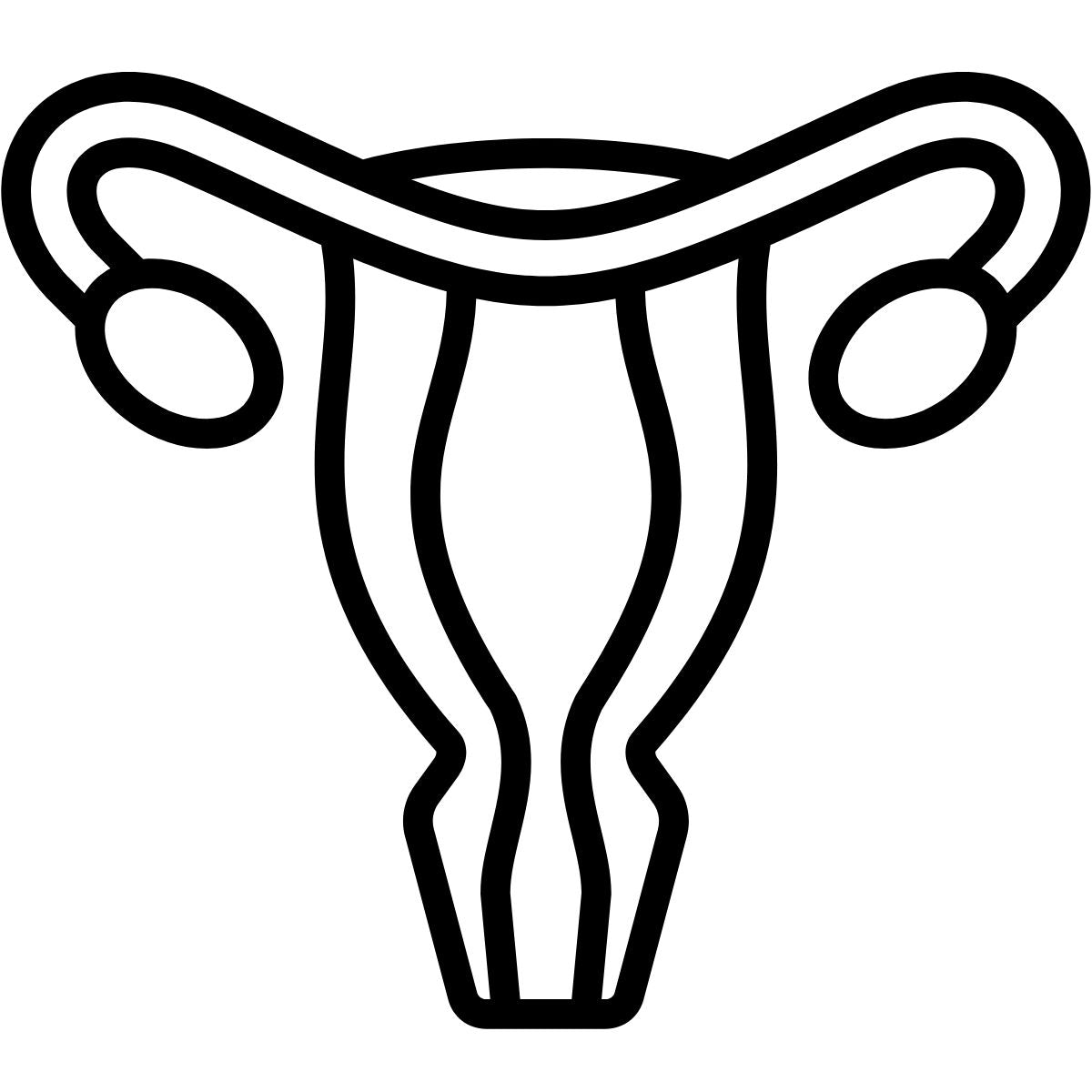 Illustration Eierstöcke und Gebärmutter