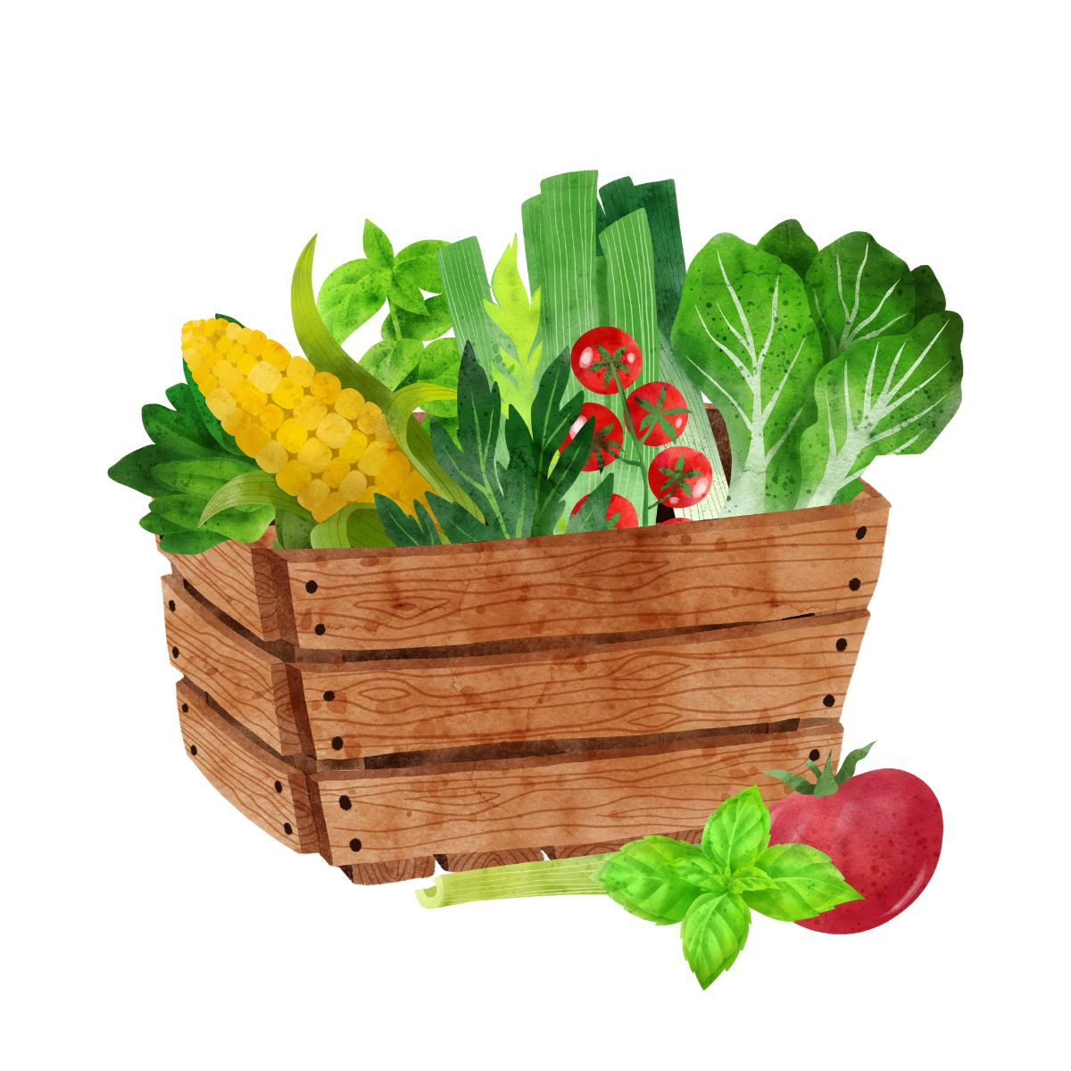 Illustration einer Kiste mit Gemüse, mythen rund ums abnehmen