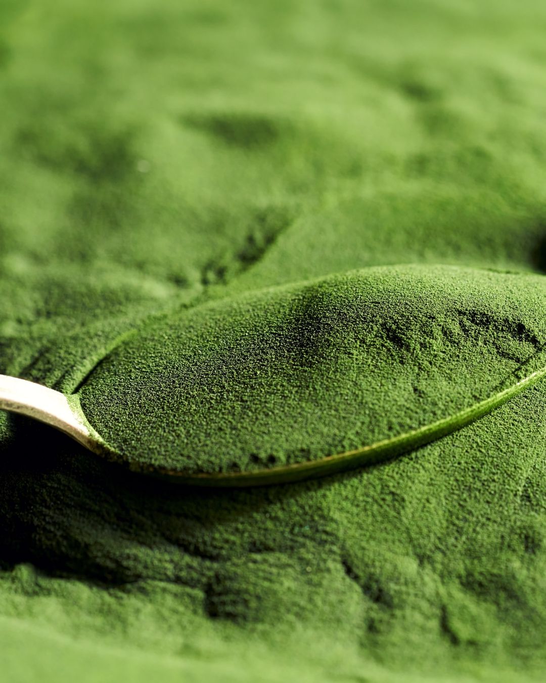 Löffel in grünem Pulver, Chlorella