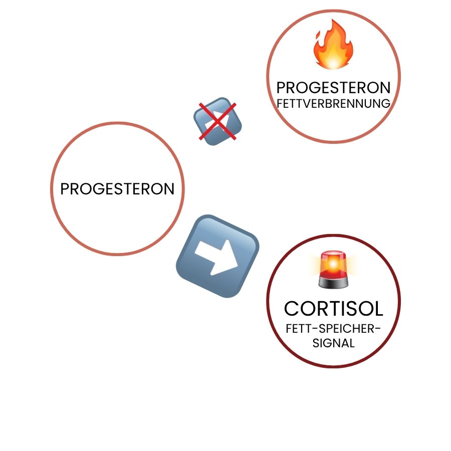 fenou Infographik: Kreislauf Progesteron - Fettverbrennung - Cortisol bei Stress. Gewichtszunahme durch Stress