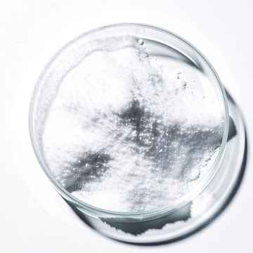 D-Chiro-Inositol