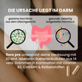 fenou Infographik Darmmikrobiom als Ursache für