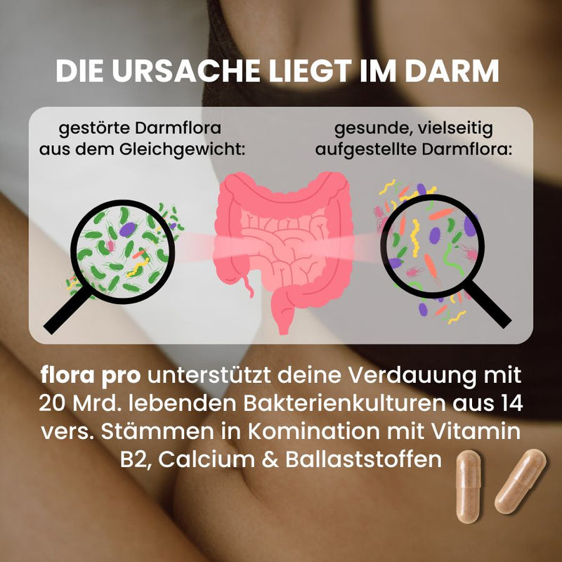 fenou Infographik Darmmikrobiom als Ursache für