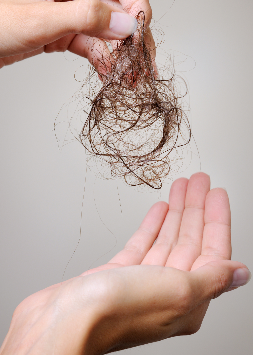 weiblich gelesene Hand hält Haarbüschel, fenou haarausfall super hormones bundle