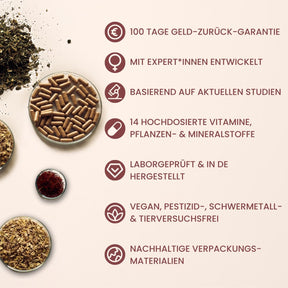 fenou Infographik Unser Versprechen 